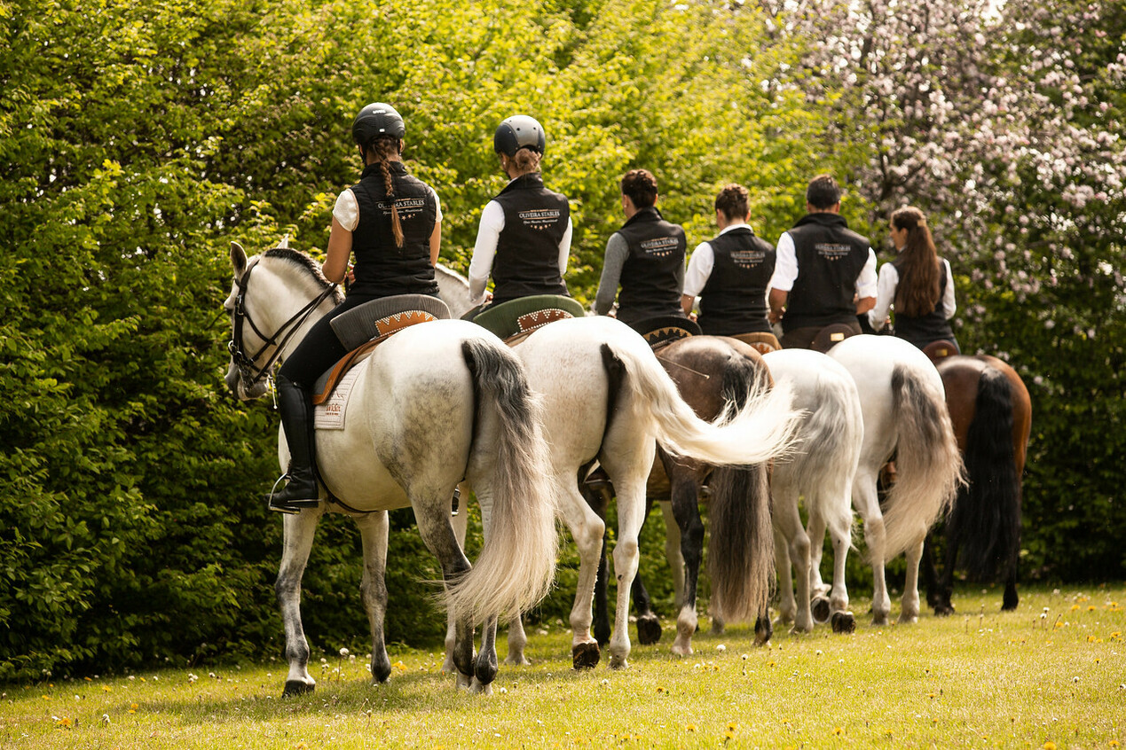Oliveira Stables