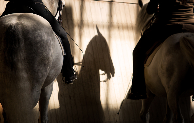 © Foto: Paulina Vogelgsang