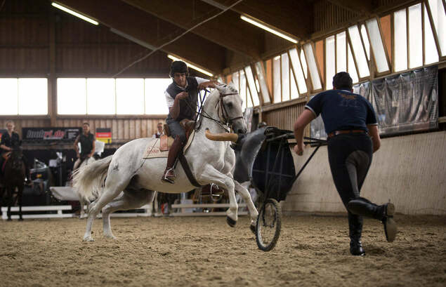 © Foto: Paulina Vogelgsang